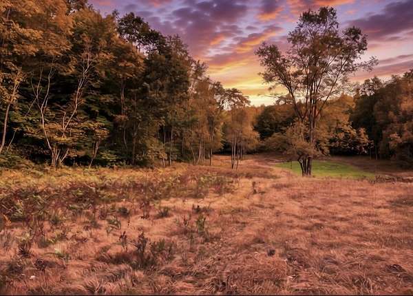 40 Acres of Recreational Land for Sale in Le Roy, Michigan