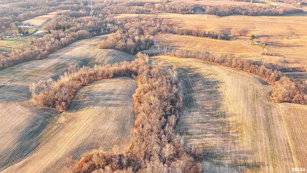 113 Acres of Land for Sale in Winchester, Illinois