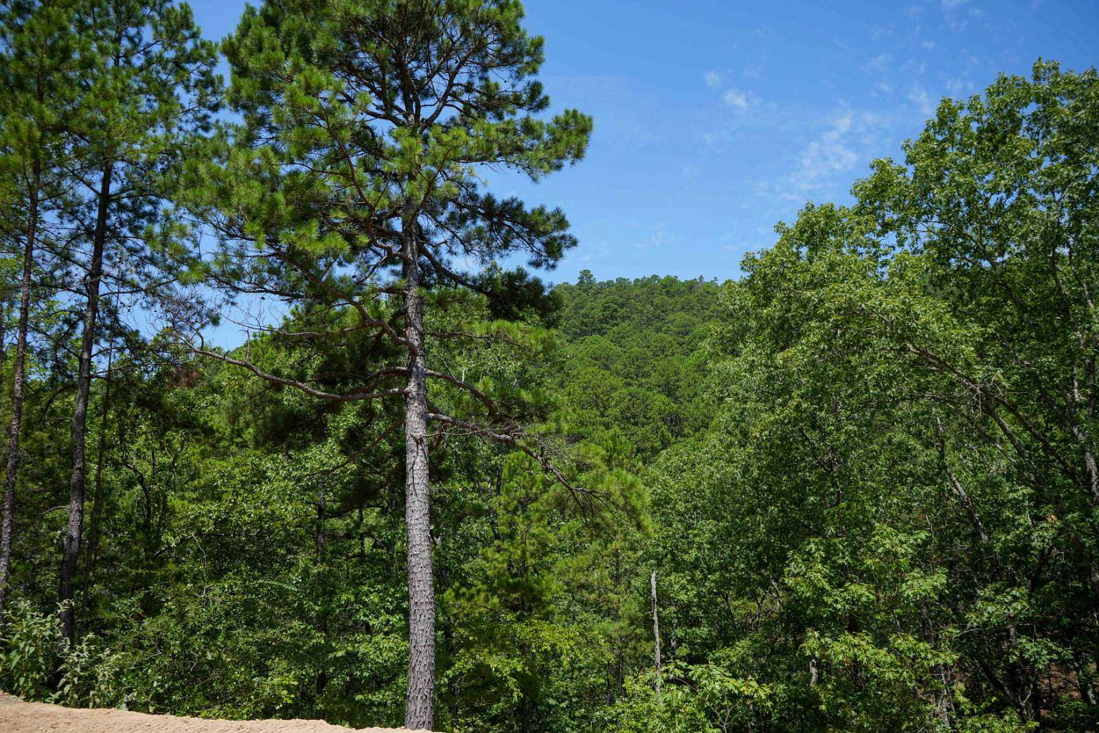 5 Acres of Land for Sale in Tuskahoma, Oklahoma