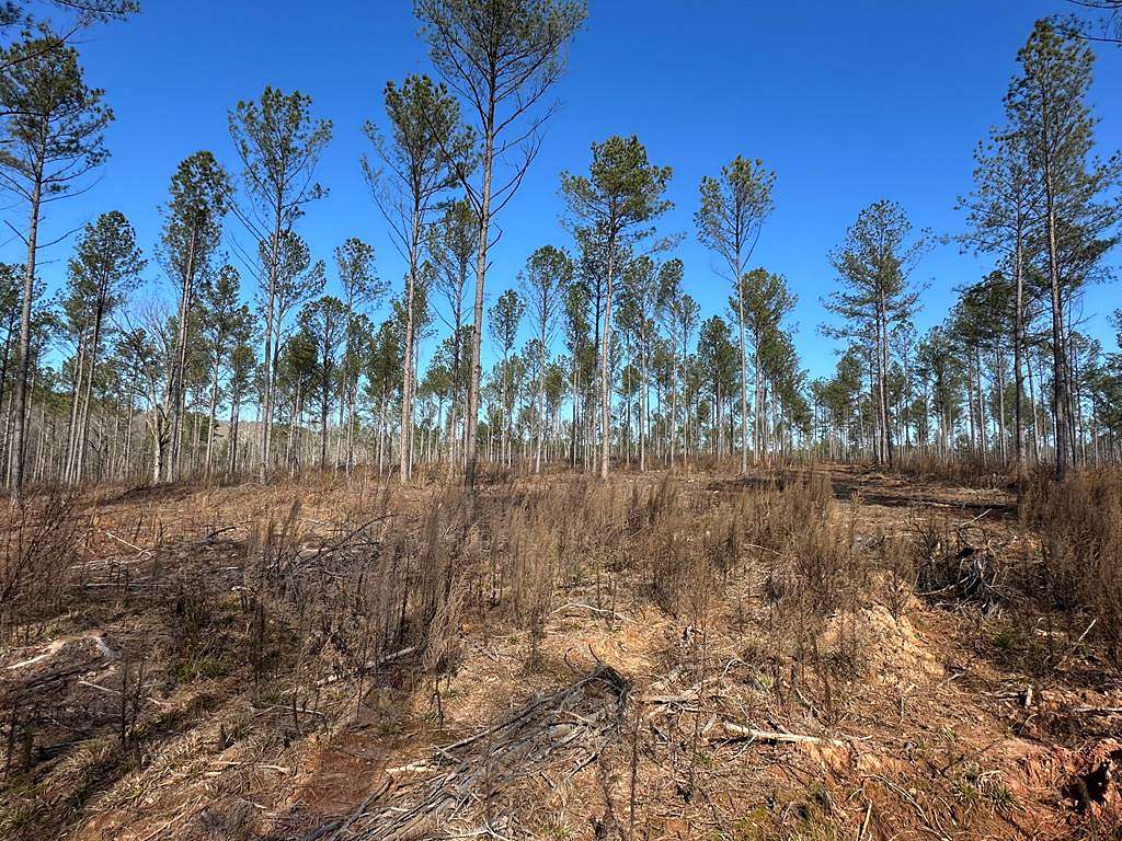 226 Acres of Land for Sale in Covington, Georgia