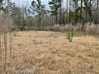 0.38 Acres of Residential Land for Sale in Conroe, Texas