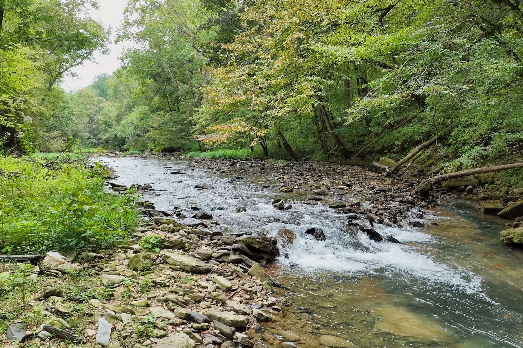 15.4 Acres of Recreational Land for Auction in Smithville, Tennessee