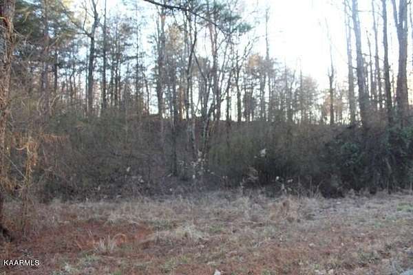 0.77 Acres of Residential Land for Sale in Etowah, Tennessee