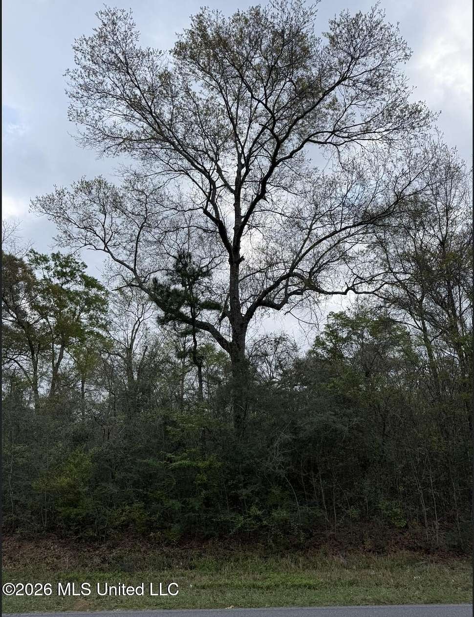 2.1 Acres of Residential Land for Sale in Gulfport, Mississippi