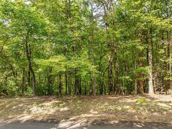 0.97 Acres of Residential Land for Sale in Ellijay, Georgia