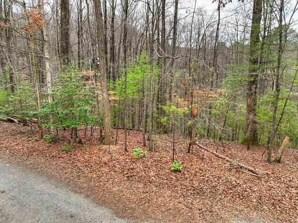 0.91 Acres of Residential Land for Sale in Ellijay, Georgia