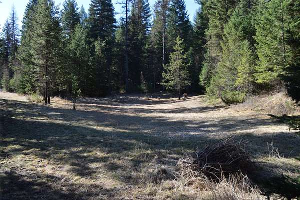 80.3 Acres of Land for Sale in Whitefish, Montana