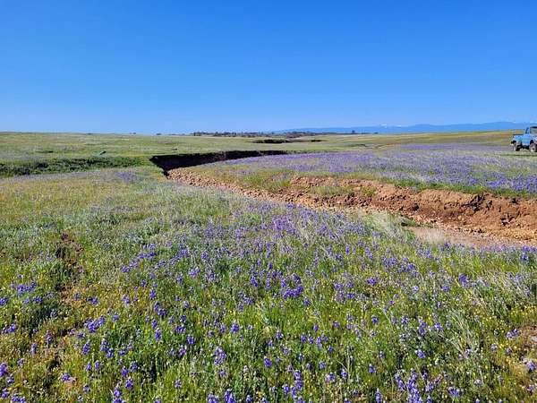 156 Acres of Agricultural Land for Sale in Anderson, California