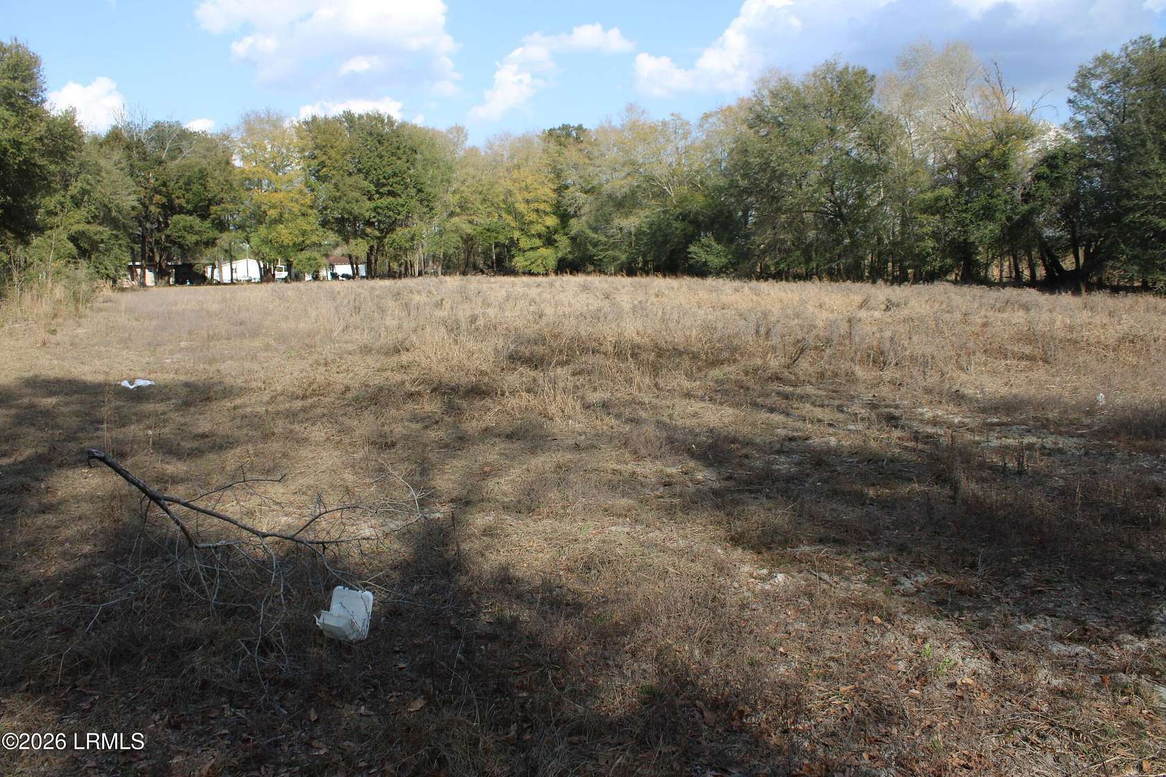 28.2 Acres of Land for Sale in Hampton, South Carolina