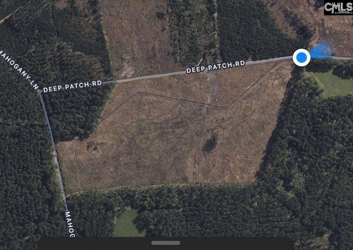 48 Acres of Recreational Land for Sale in Orangeburg, South Carolina