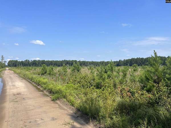 48 Acres of Recreational Land for Sale in Orangeburg, South Carolina