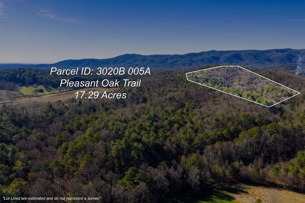 17.3 Acres of Recreational & Residential Land for Sale in Ellijay, Georgia