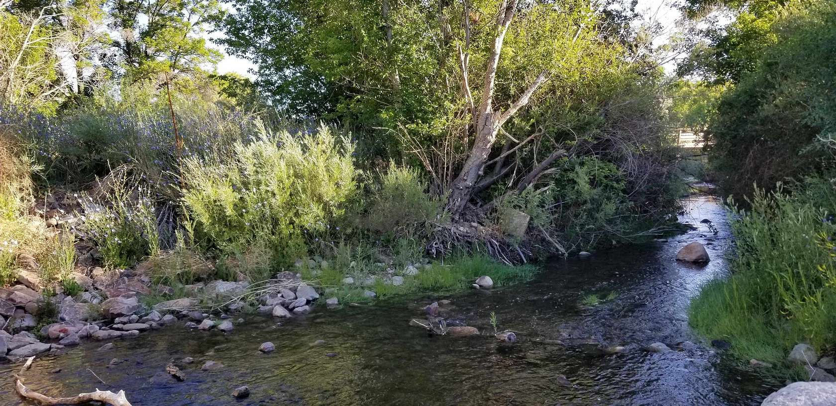 2.42 Acres of Land for Sale in Ranchos de Taos, New Mexico