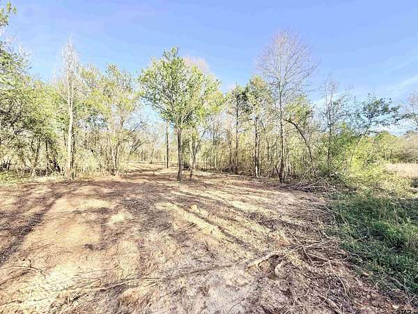 1 Acre of Residential Land for Sale in Arp, Texas