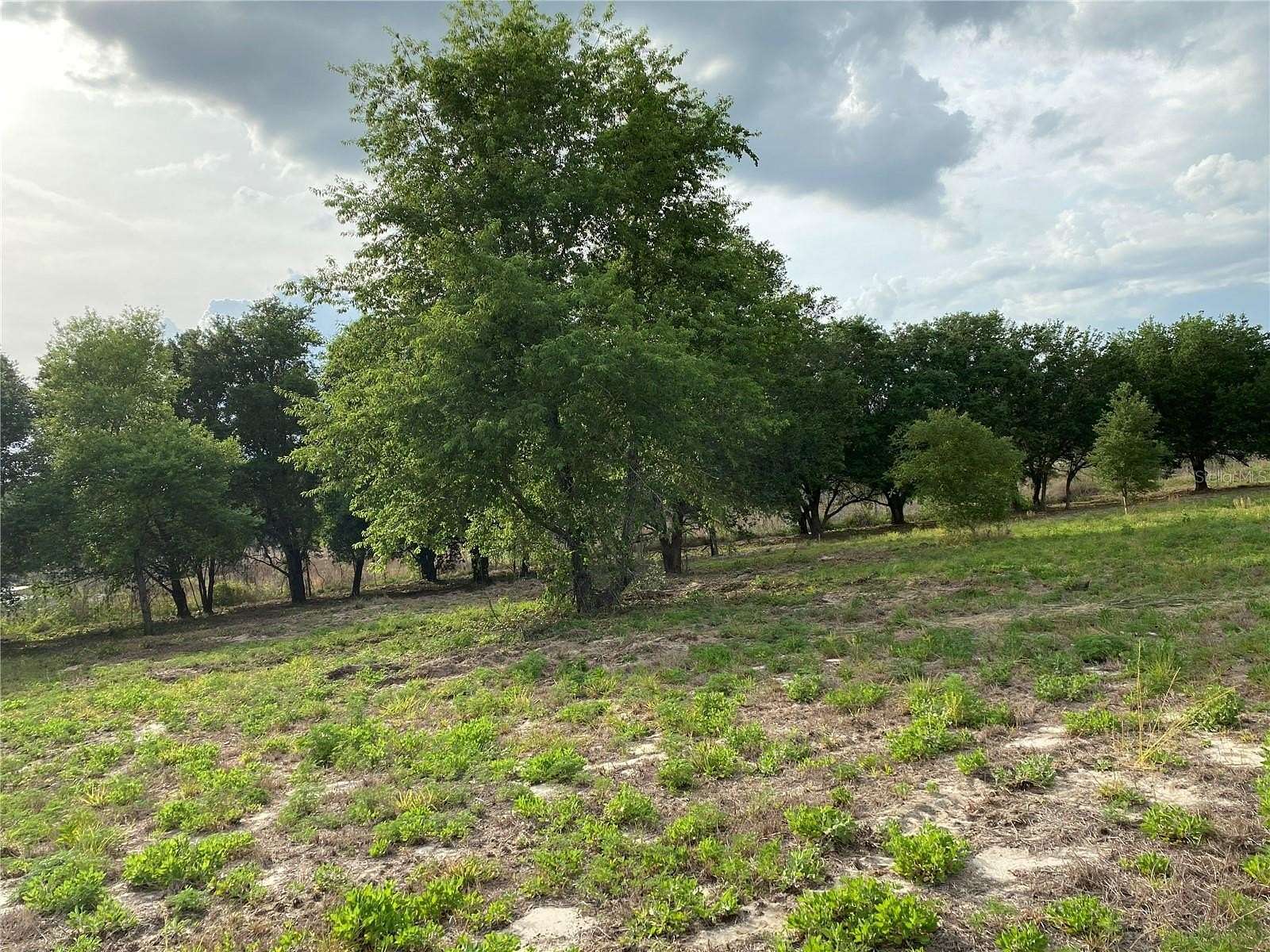 12.2 Acres of Recreational & Residential Land for Sale in Groveland, Florida