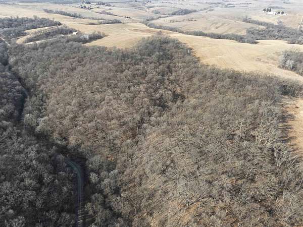 42 Acres of Recreational Land for Sale in Elkader, Iowa
