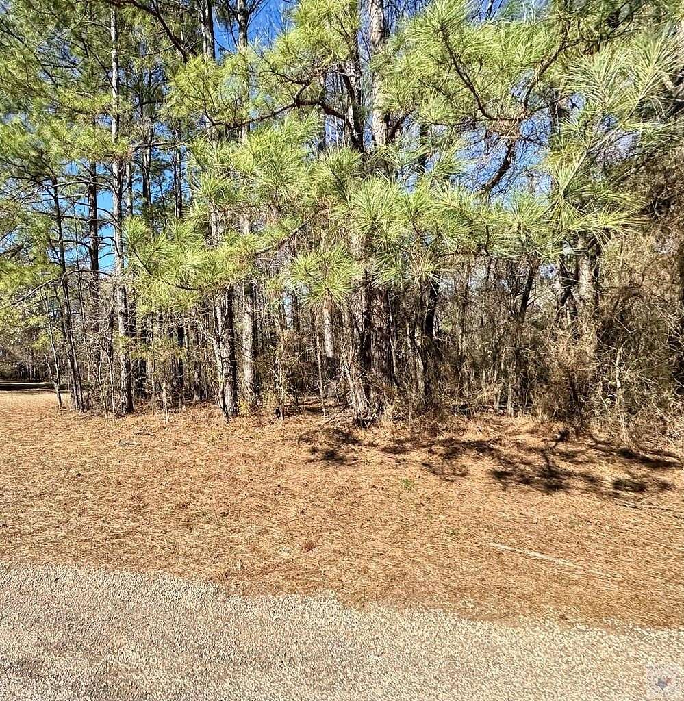 3.44 Acres of Residential Land for Sale in Maud, Texas