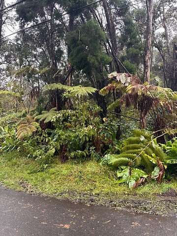 1.3 Acres of Residential Land for Sale in Volcano, Hawaii