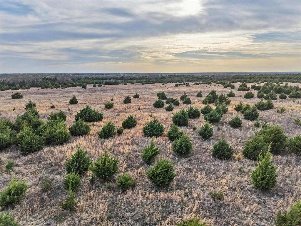 255 Acres of Land for Sale in Bonham, Texas