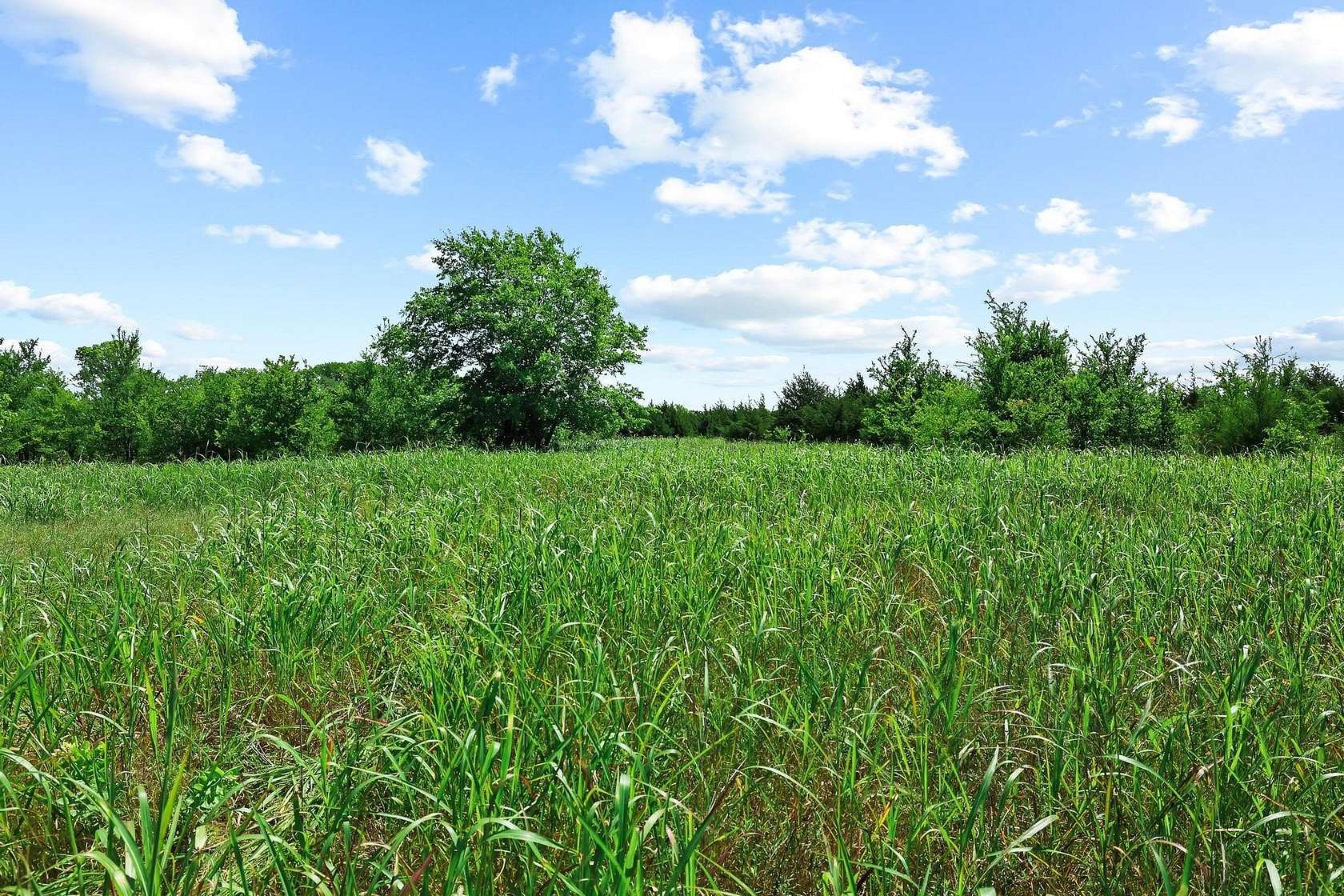 255 Acres of Recreational Land for Sale in Bonham, Texas