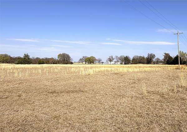 46.3 Acres of Land for Sale in Telephone, Texas