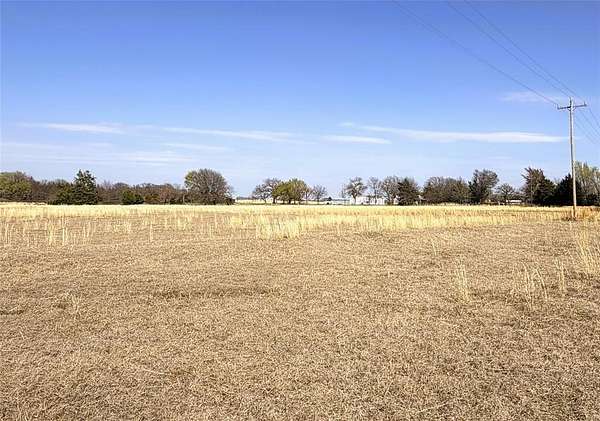 56.4 Acres of Land for Sale in Telephone, Texas