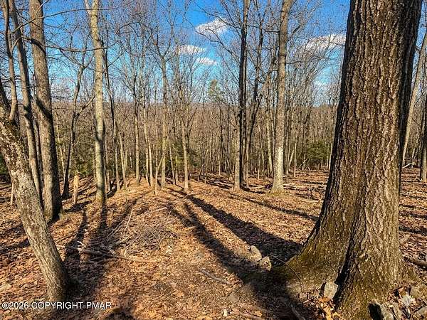 0.4 Acres of Residential Land for Sale in Cresco, Pennsylvania