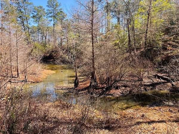 0.66 Acres of Land for Sale in Burkeville, Texas