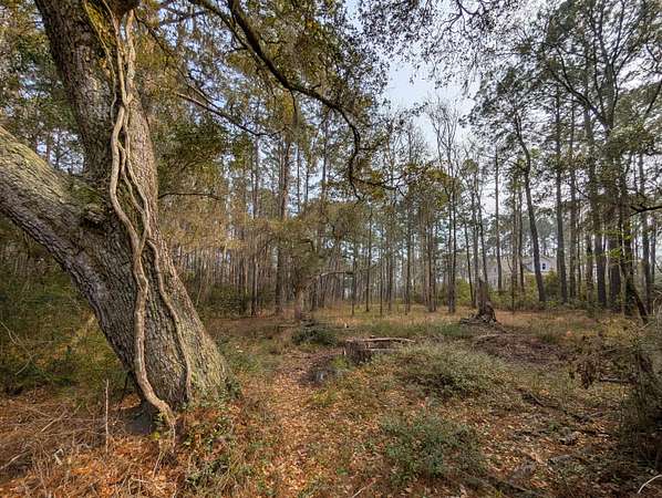 1.19 Acres of Residential Land for Sale in McClellanville, South Carolina