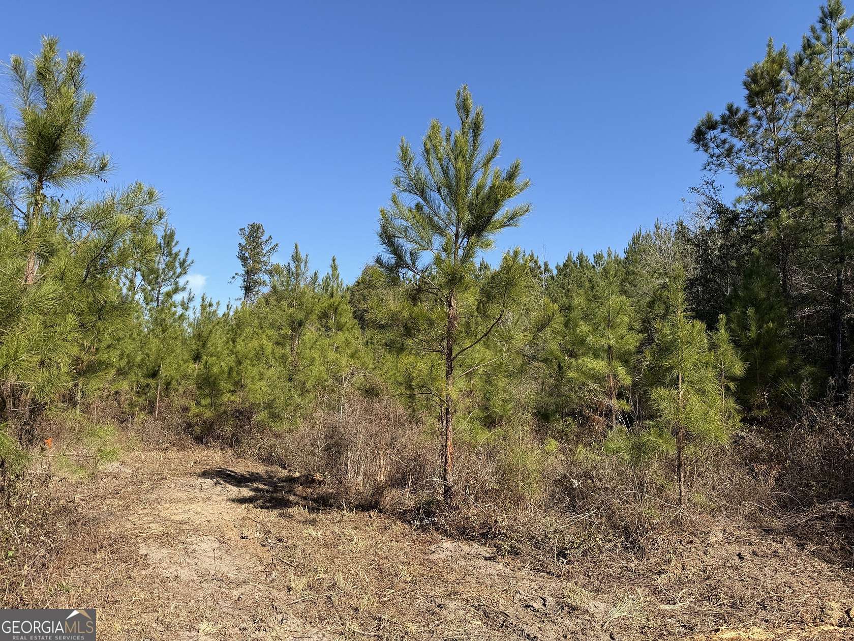 37.8 Acres of Recreational & Residential Land for Sale in Gordon, Alabama
