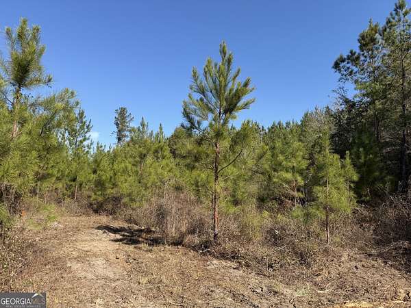 37.8 Acres of Recreational & Residential Land for Sale in Gordon, Alabama