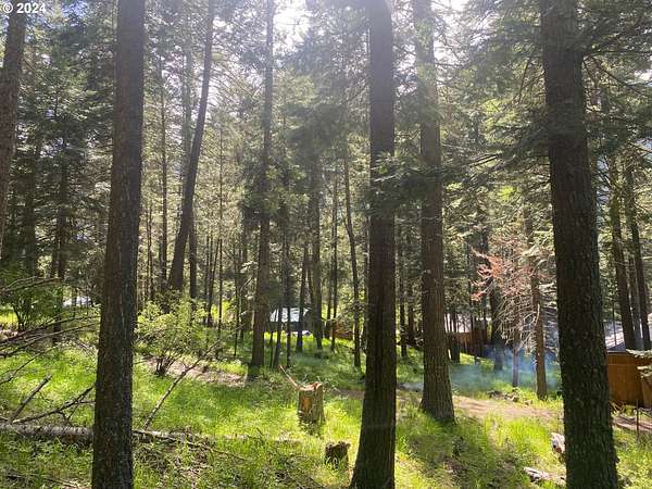 0.2 Acres of Land for Sale in Joseph, Oregon