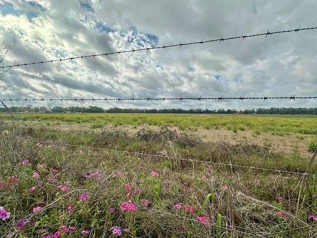 46.7 Acres of Land for Sale in Trenton, Florida