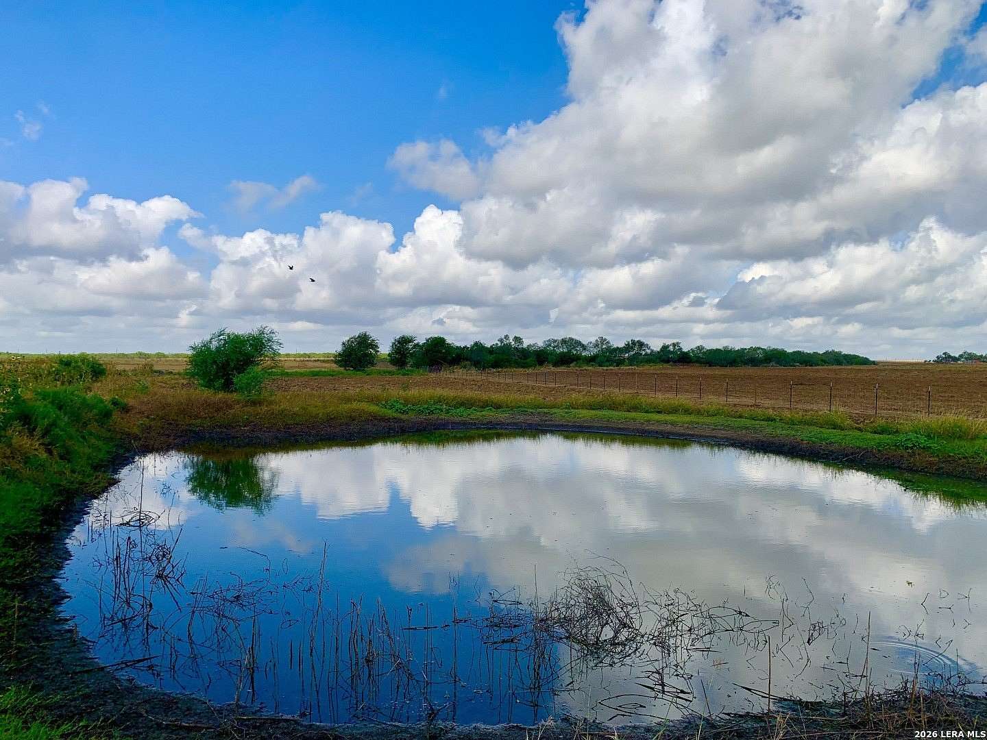 57 Acres of Improved Agricultural Land for Sale in Falls City, Texas