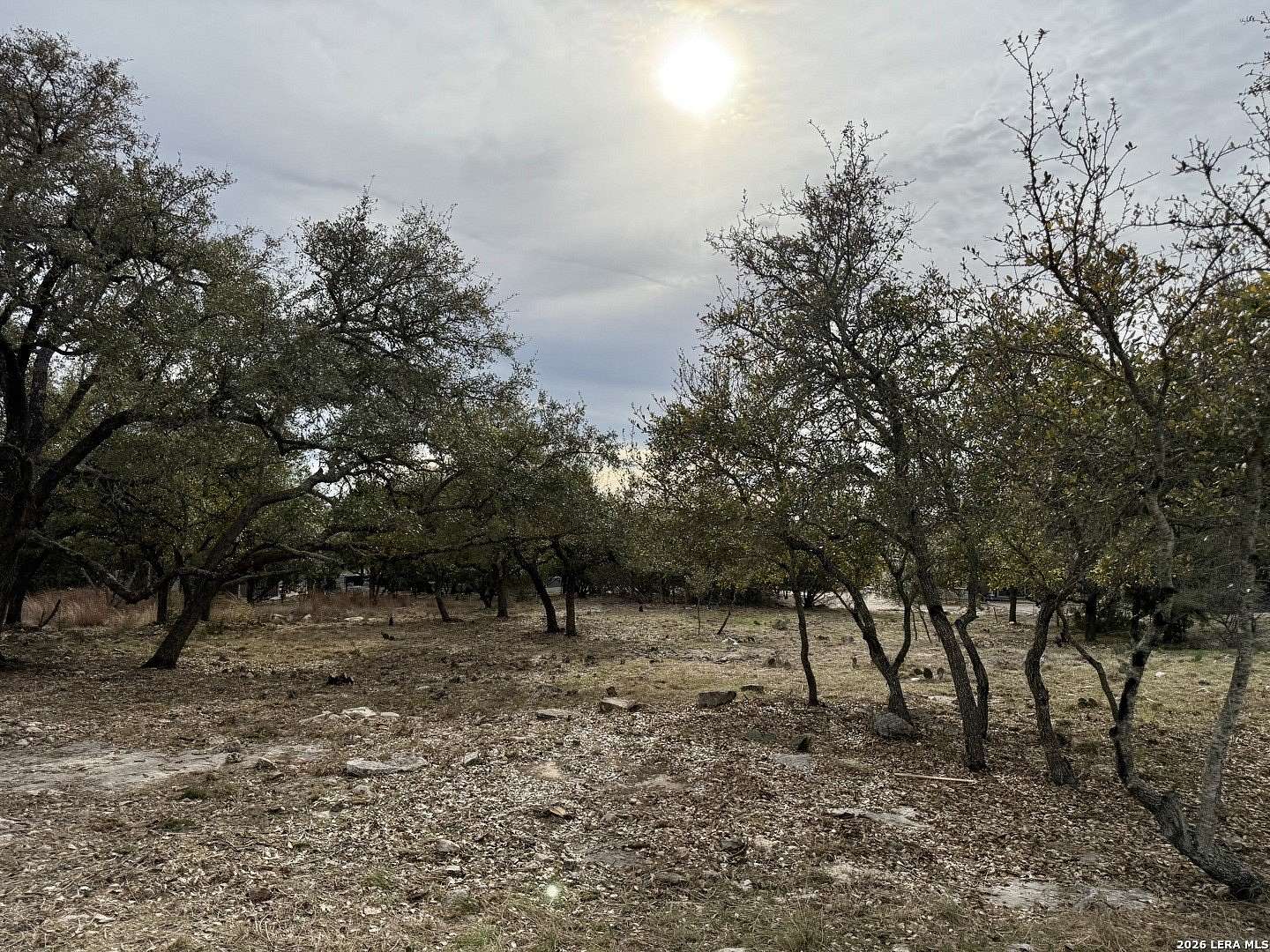 0.26 Acres of Residential Land for Sale in Blanco, Texas