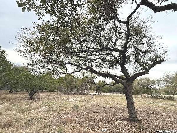 0.25 Acres of Residential Land for Sale in Blanco, Texas