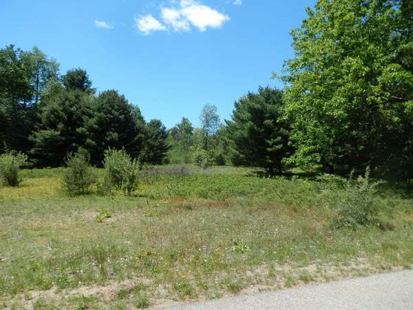 0.66 Acres of Land for Sale in Canadian Lakes, Michigan