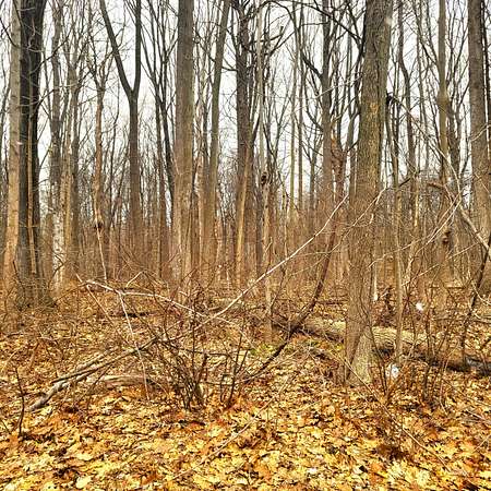 4 Acres of Residential Land for Sale in Union Pier, Michigan