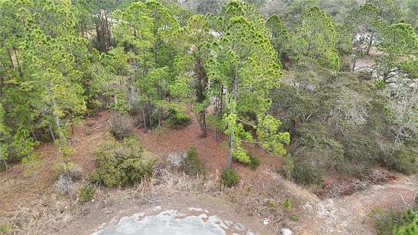 0.2 Acres of Residential Land for Sale in Kissimmee, Florida