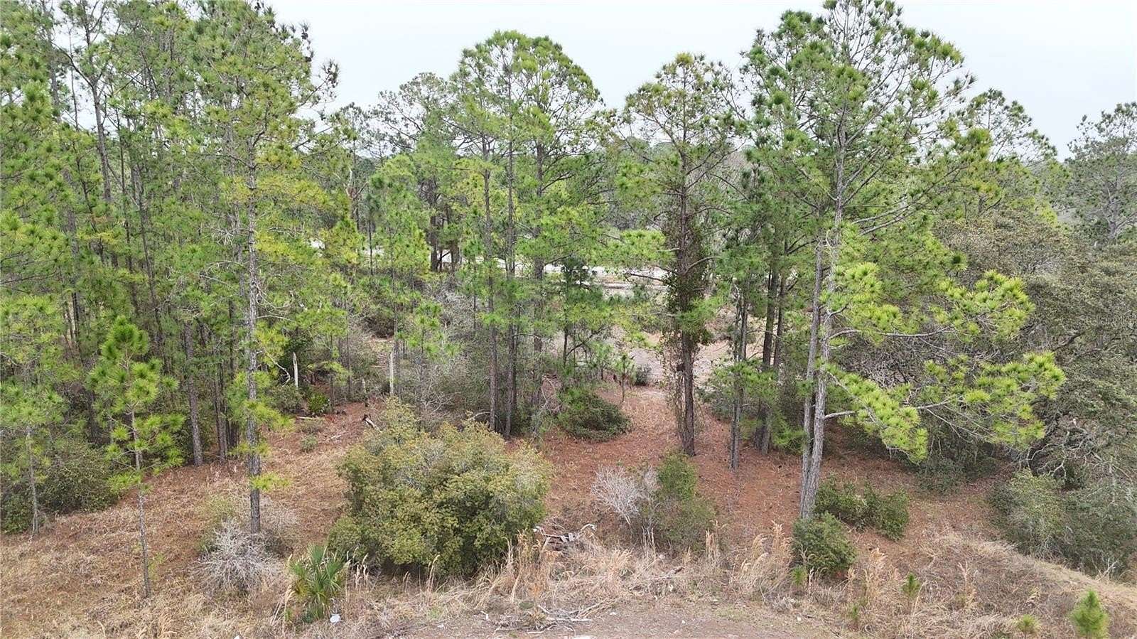 0.2 Acres of Residential Land for Sale in Kissimmee, Florida