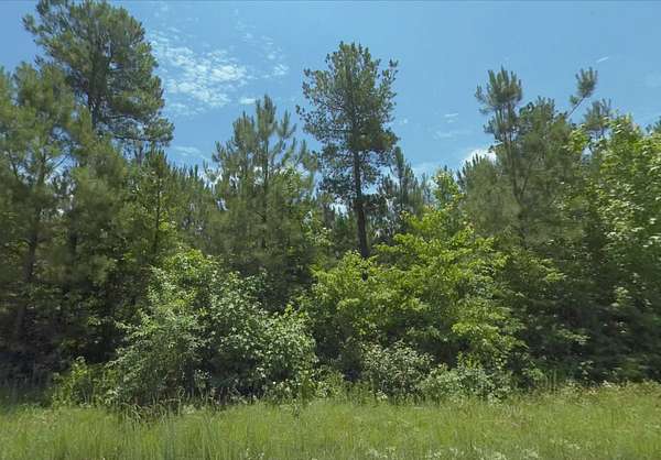 5.5 Acres of Residential Land for Sale in Lawrenceville, Virginia