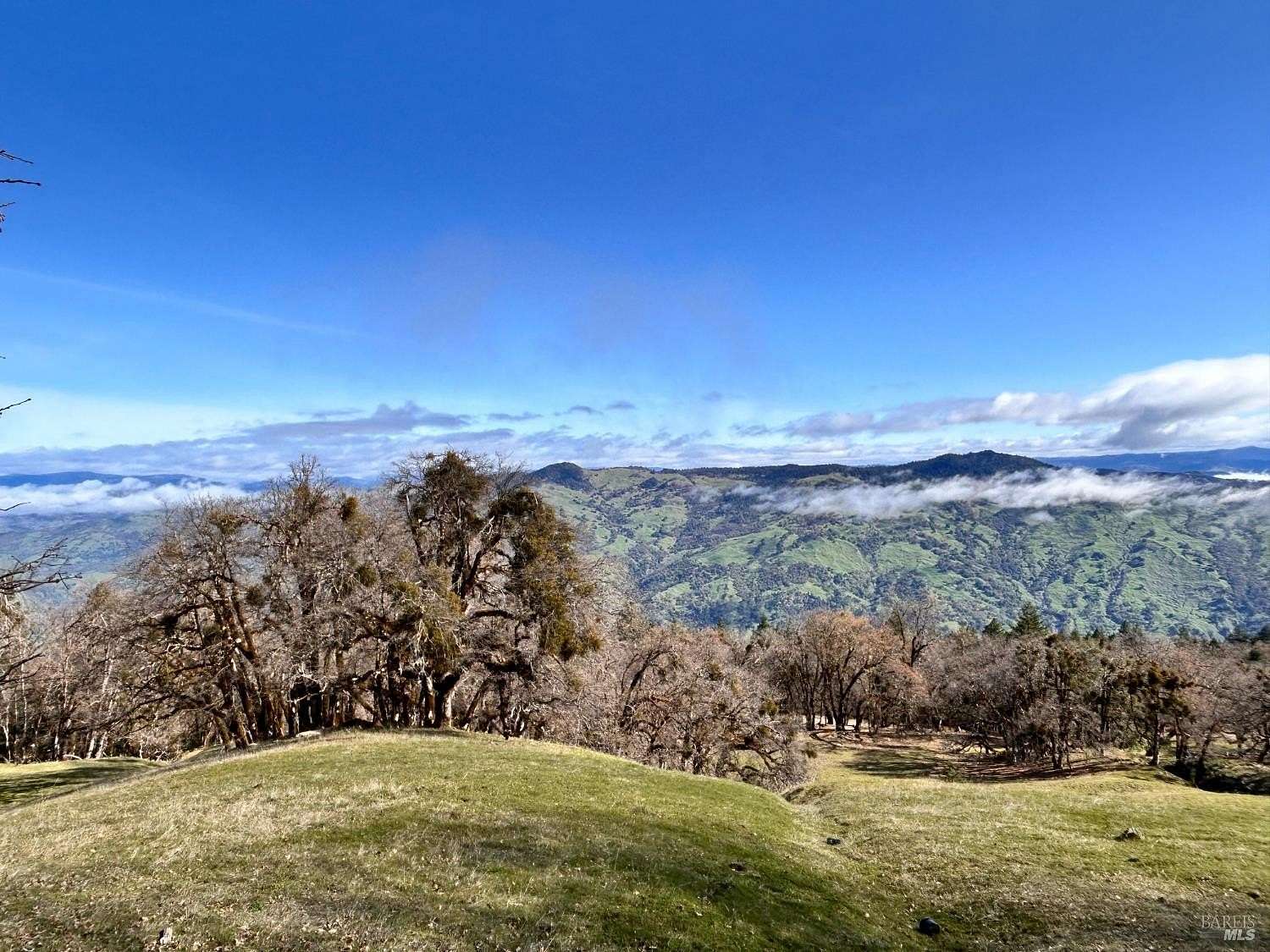 159 Acres of Land for Sale in Laytonville, California