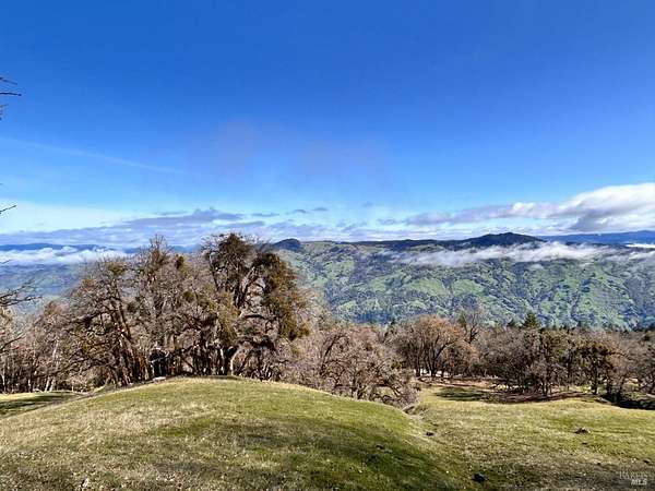 159 Acres of Land for Sale in Laytonville, California