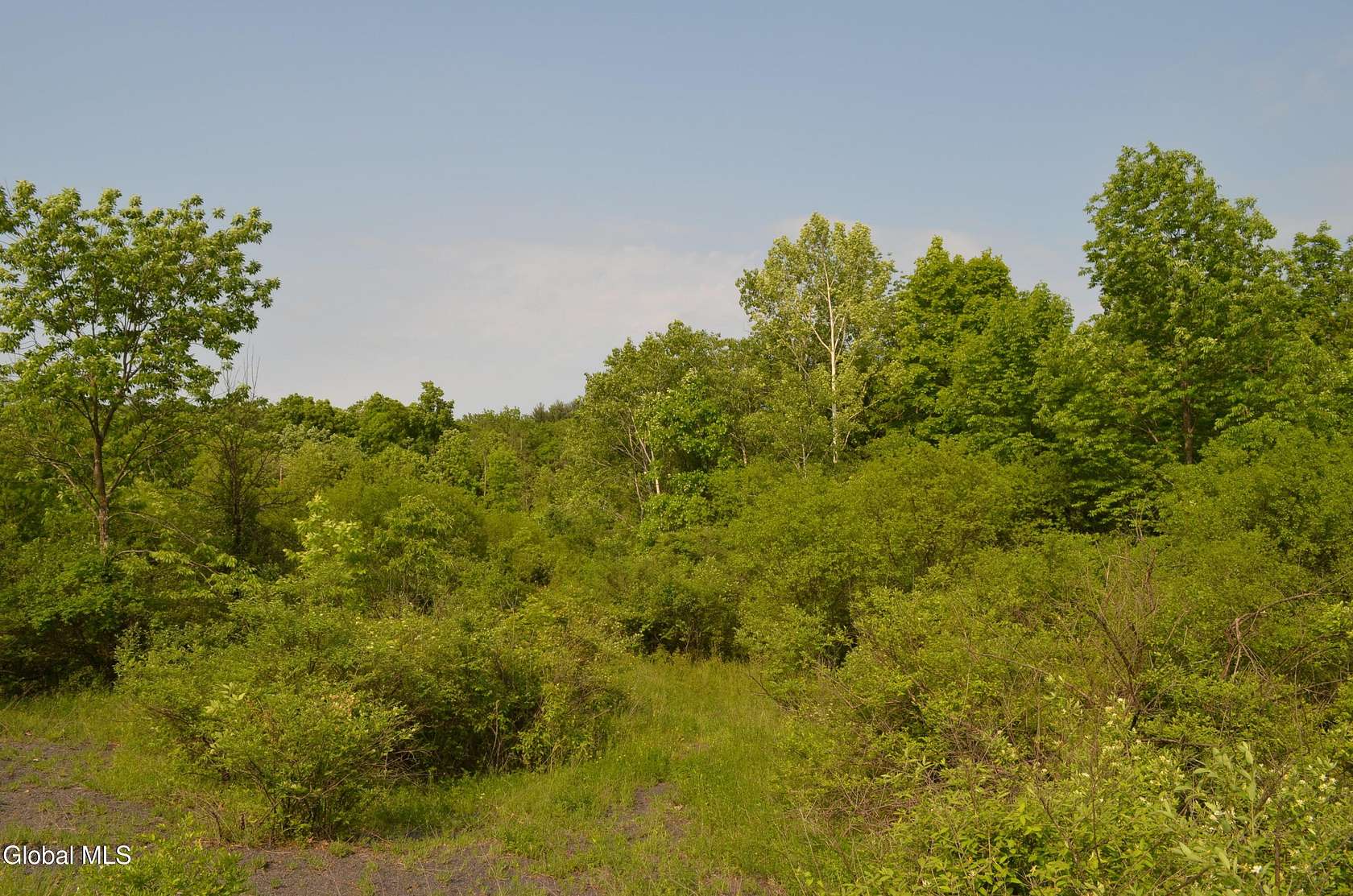 5 Acres of Land for Sale in Selkirk, New York