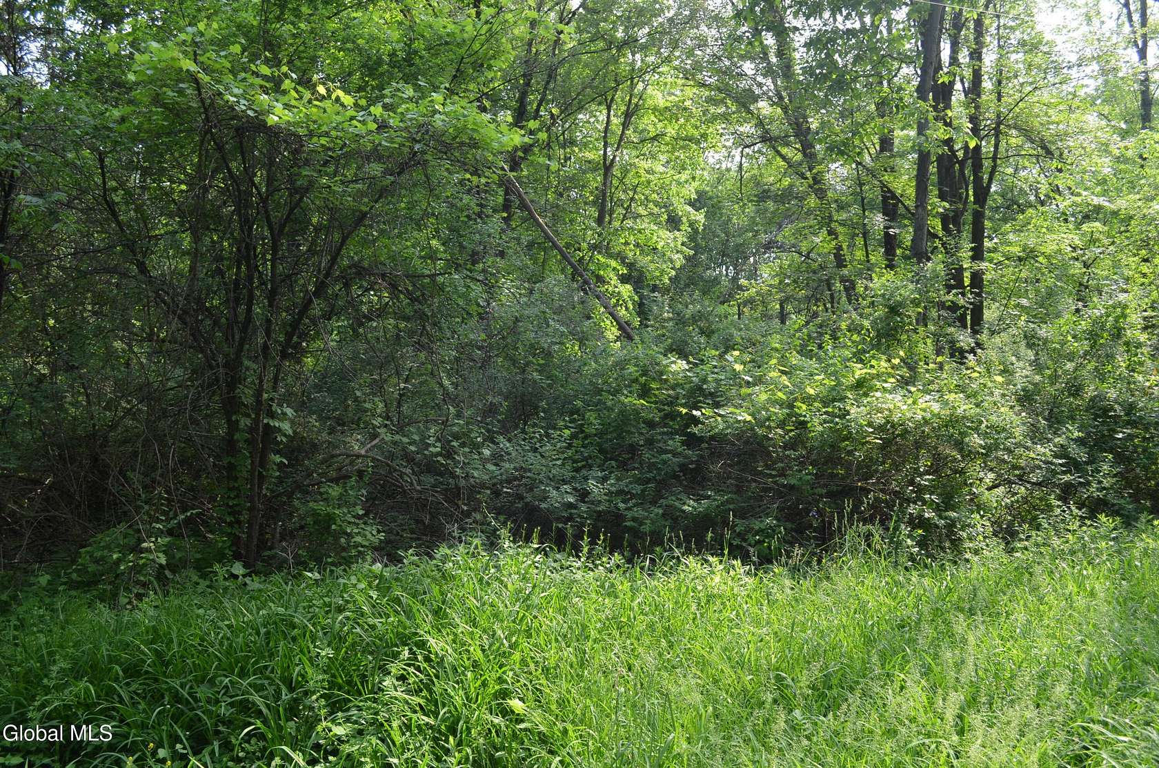 1.36 Acres of Land for Sale in Selkirk, New York