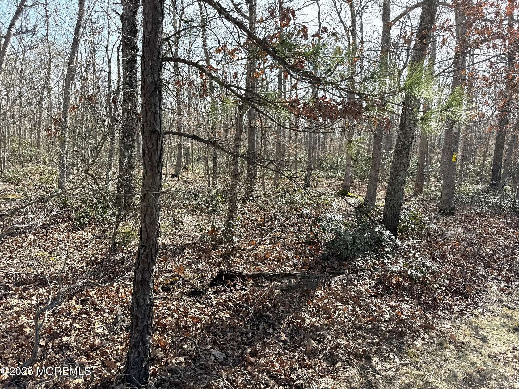 18.6 Acres of Land for Sale in Barnegat, New Jersey