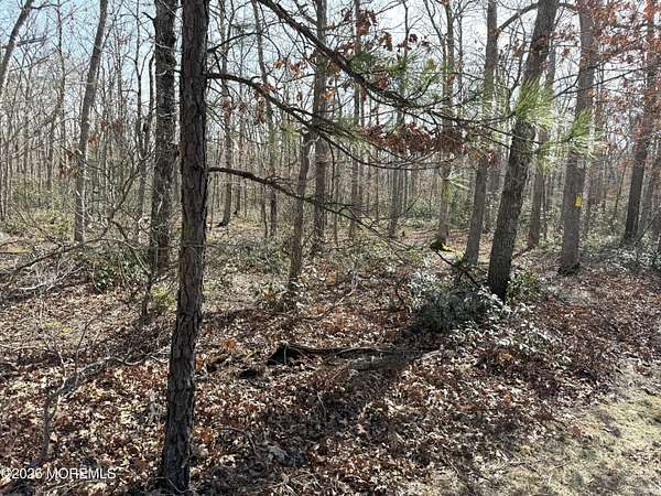 18.6 Acres of Land for Sale in Barnegat, New Jersey