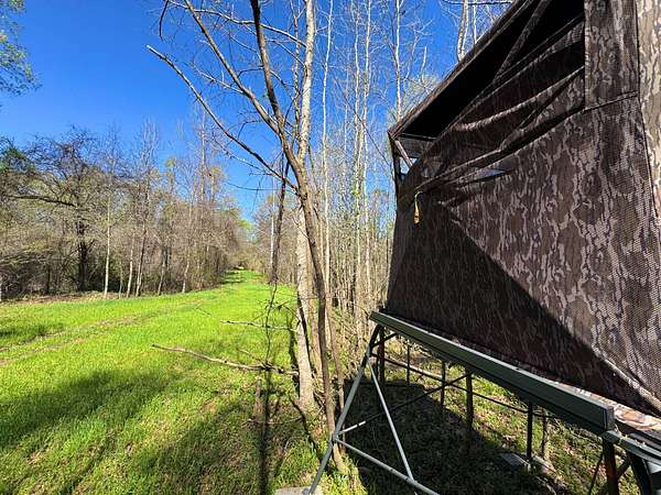 34.5 Acres of Recreational Land for Sale in Vicksburg, Mississippi