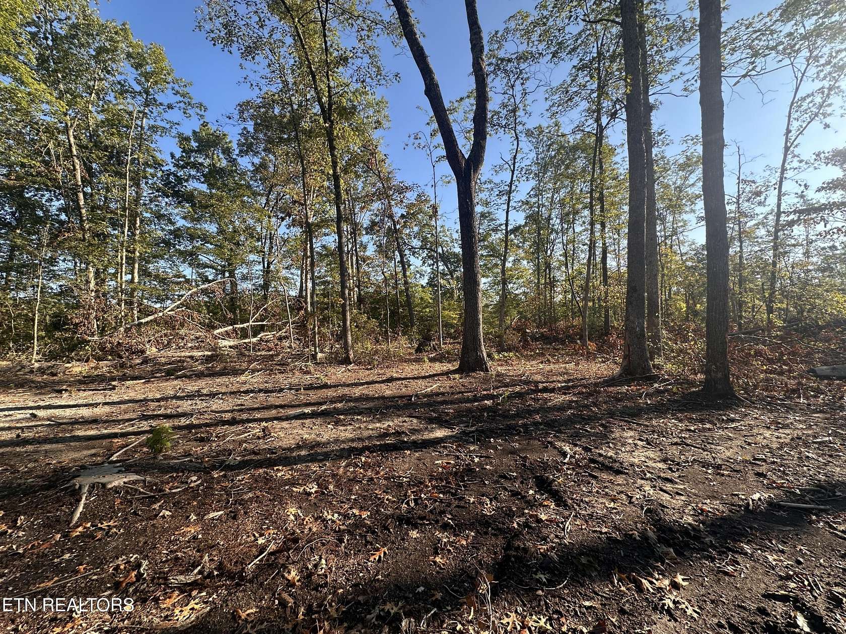 11.5 Acres of Land for Sale in Jamestown, Tennessee