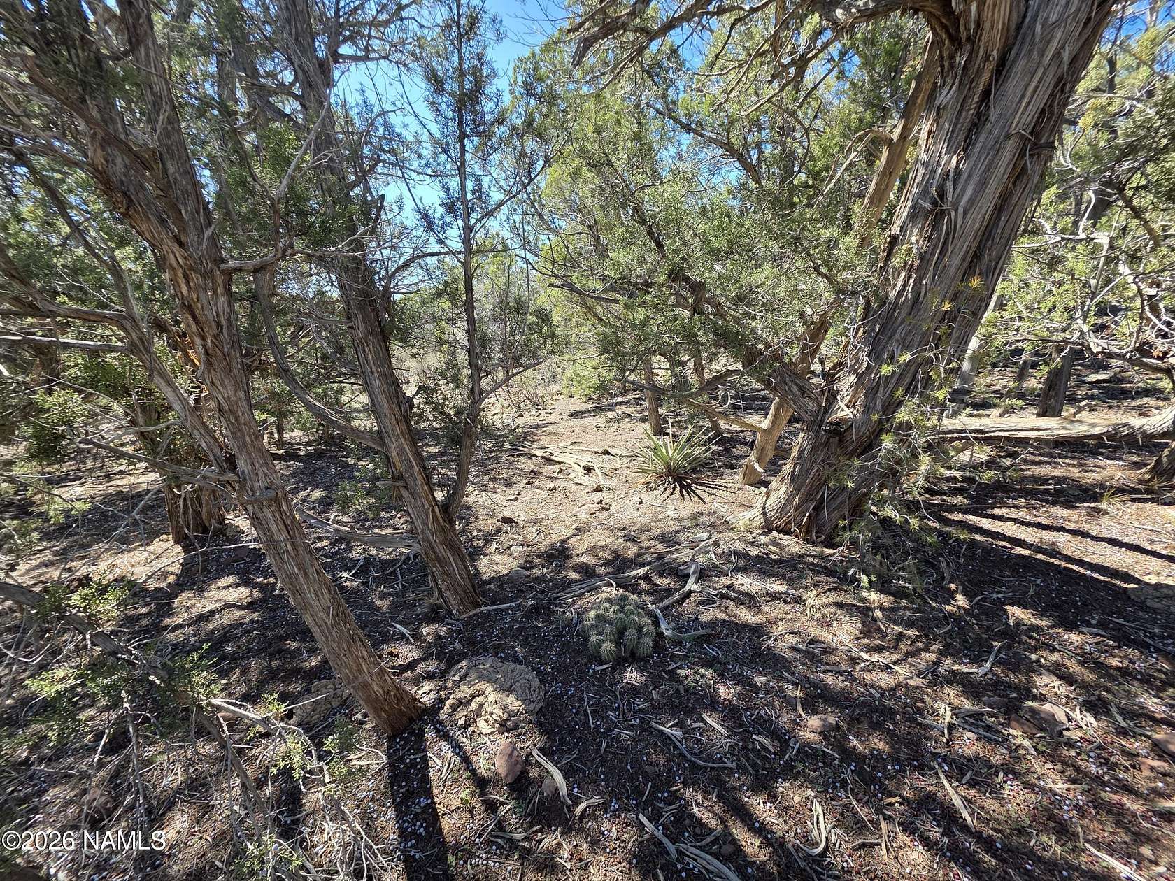 39 Acres of Recreational Land for Sale in Williams, Arizona